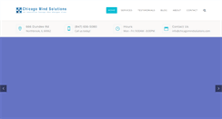 Desktop Screenshot of chicagomindsolutions.com